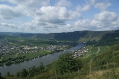 Blick auf die Mosel